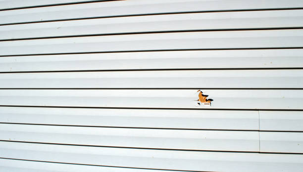 Best Siding for New Construction  in Strawberry, CA