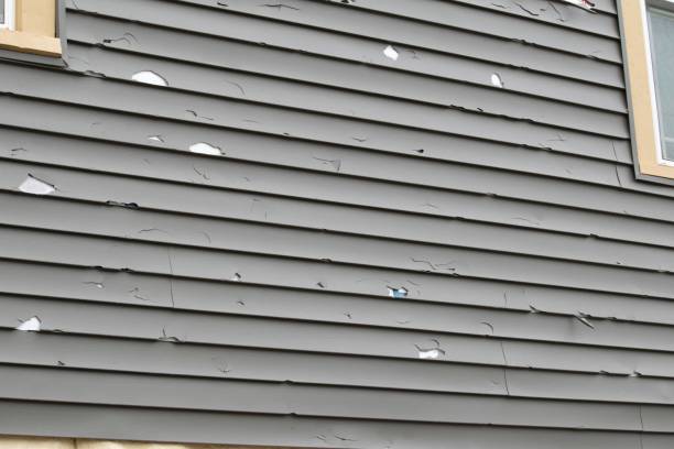 Affordable siding repair and maintenance services in Strawberry, CA